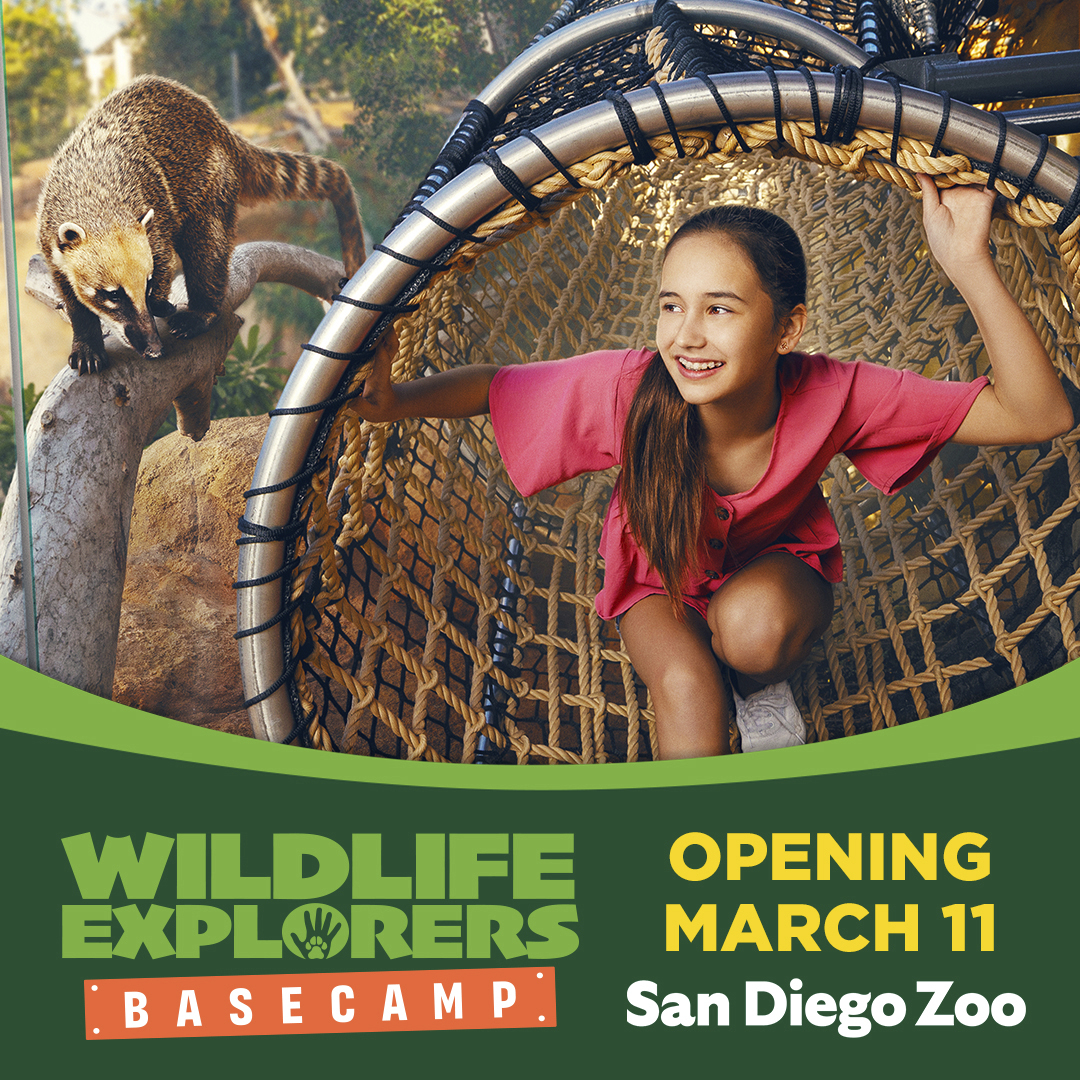 Win tickets to San Diego Zoo