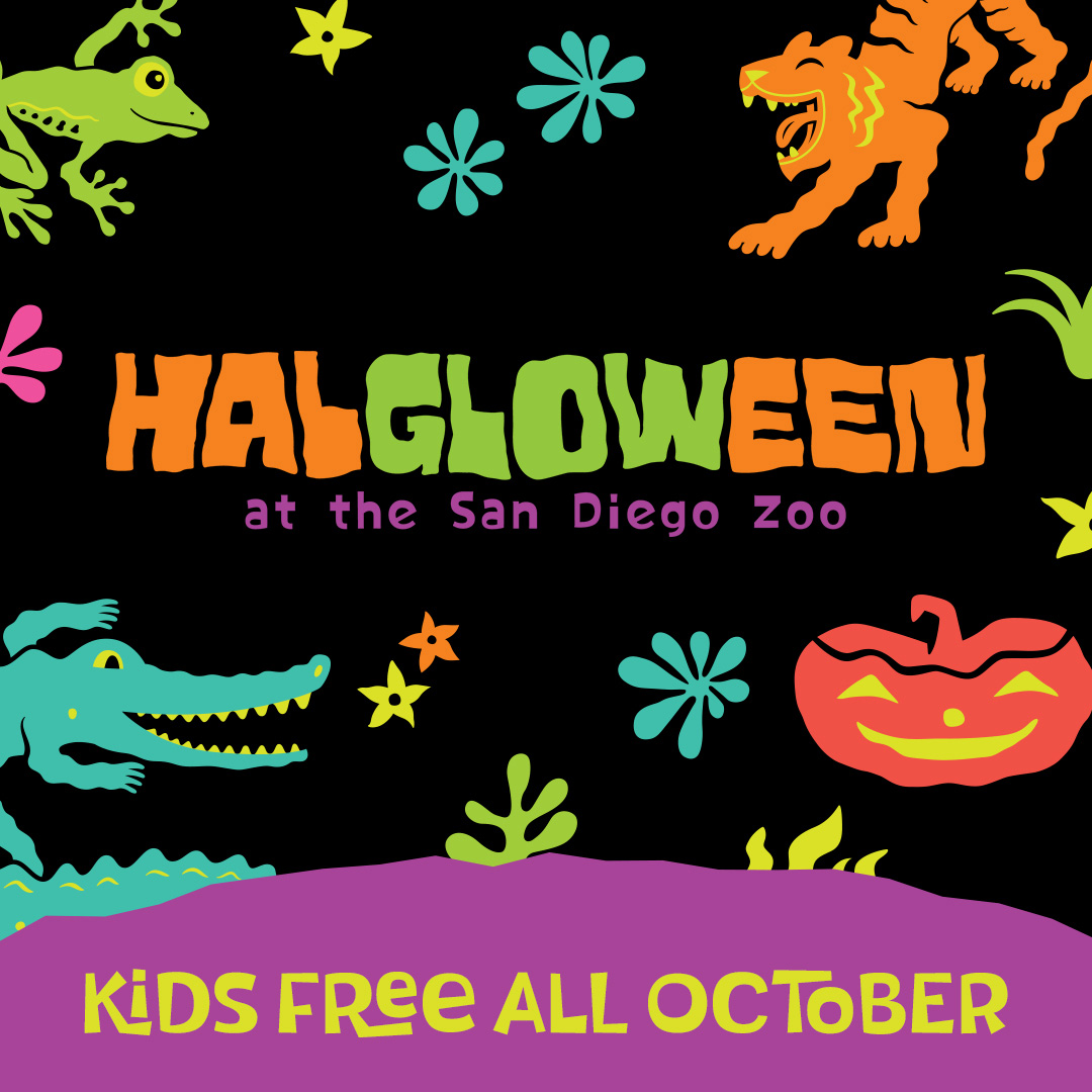 Win tickets to San Diego Zoo