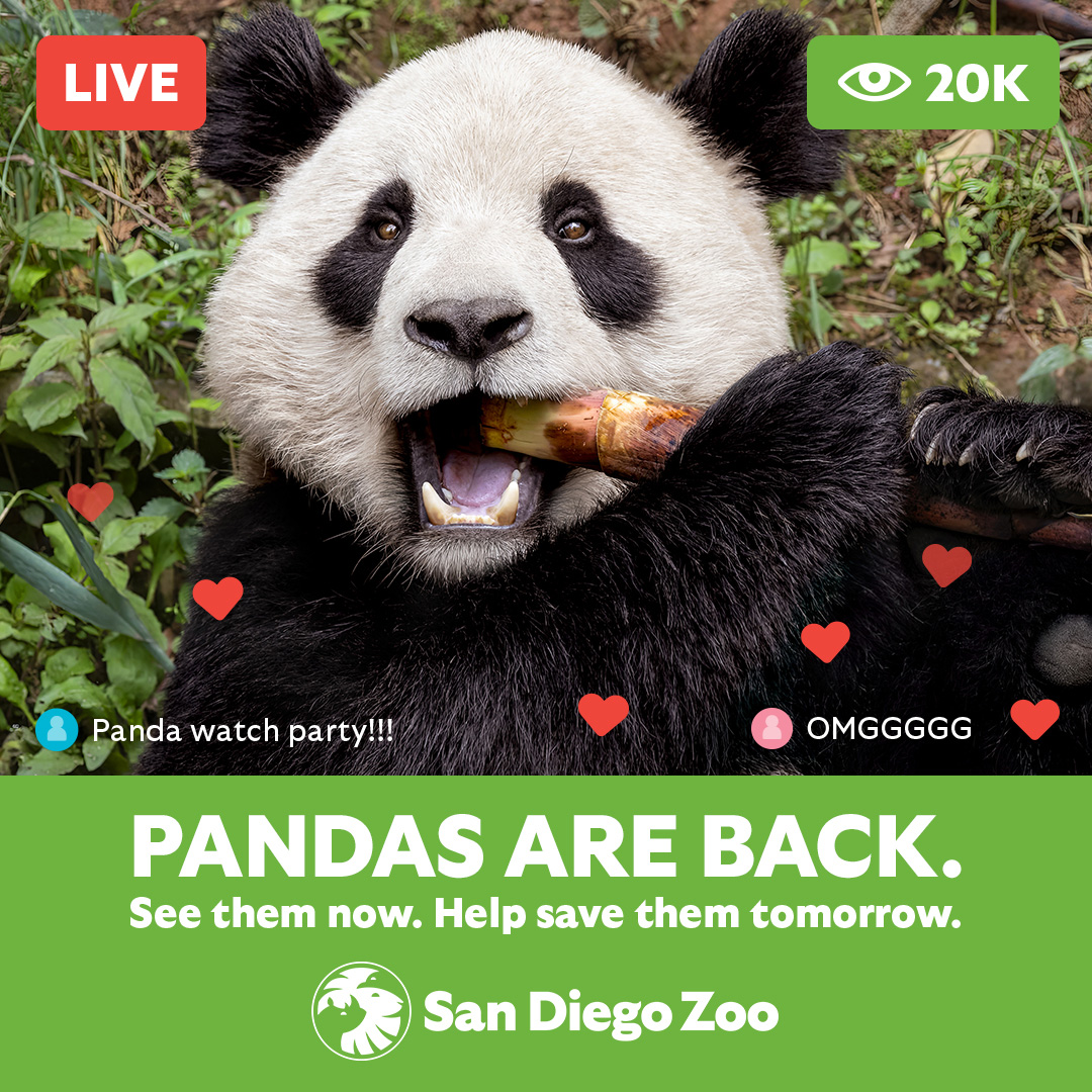 Win tickets to San Diego Zoo