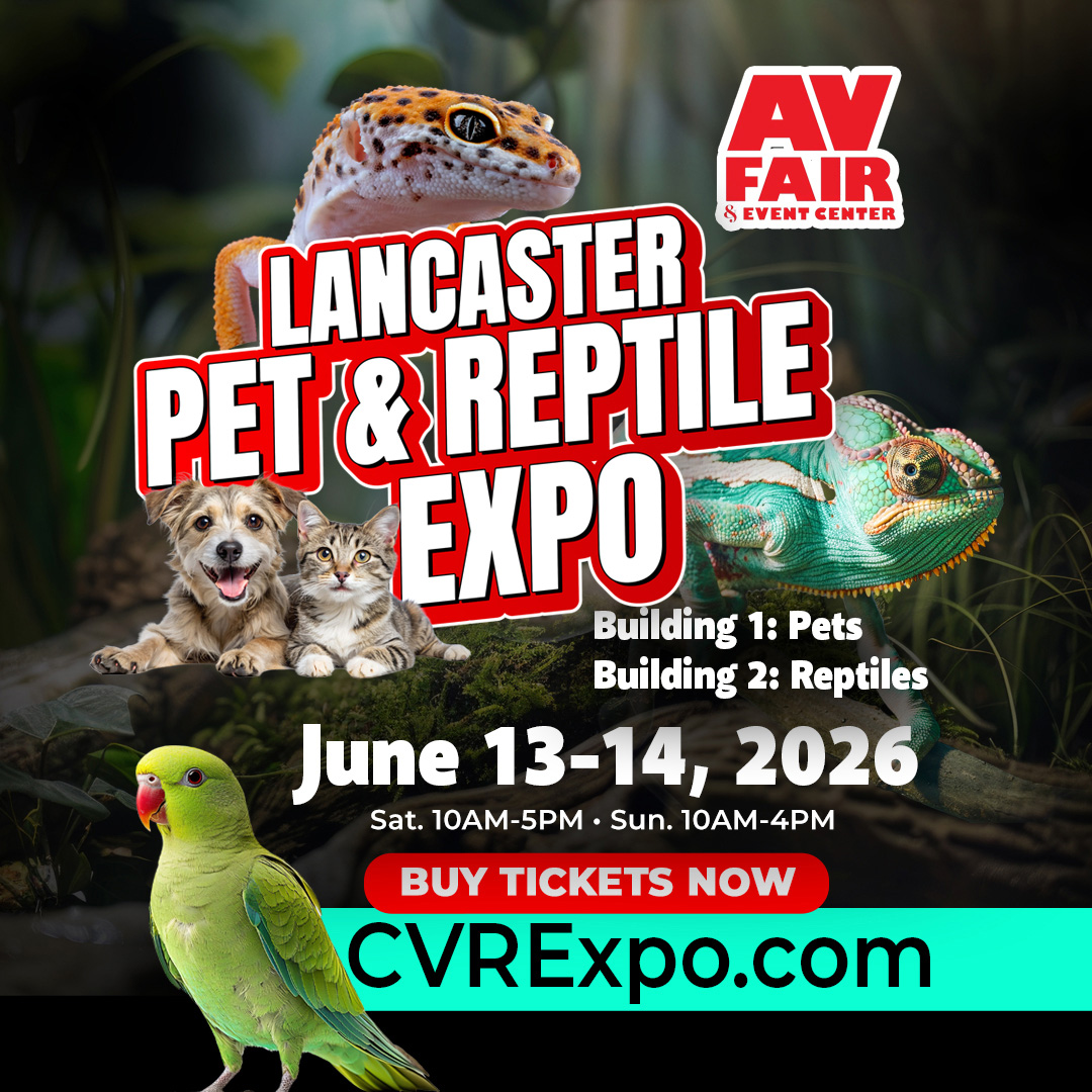 Win tickets for the reptile and pet expo