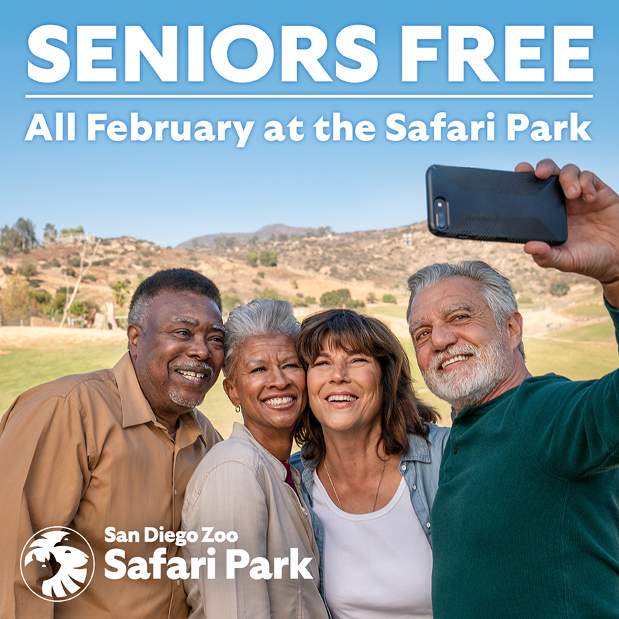 Win tickets to SDZ Safari Park